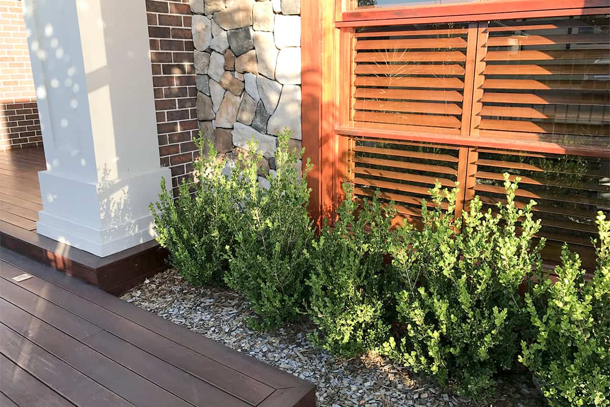 Get Out In Garden Get out in the garden