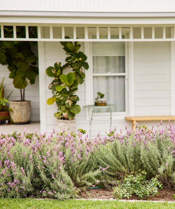 The Village Menangle