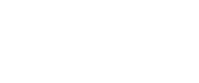 The Village Menangle