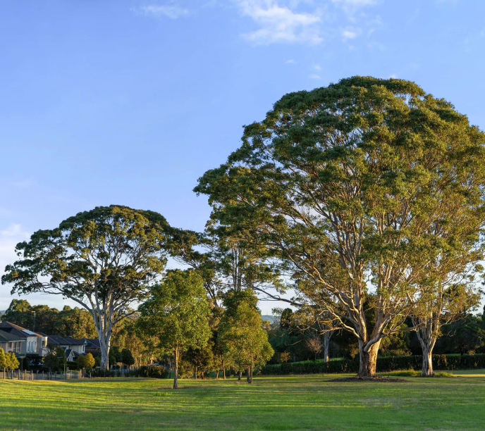 Catherine Park Estate